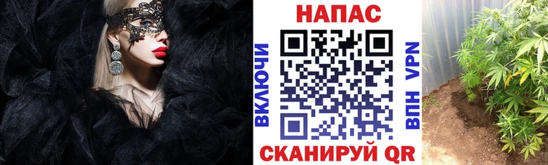 Виды наркоты Щигры Псилоцибиновые грибы Альфа ПВП КОКАИН ГАШИШ Мефедрон Каннабис