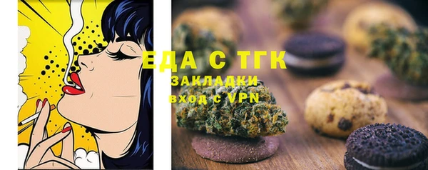 твердый Бердск