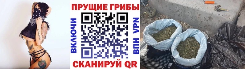 площадка как зайти  mega   Щигры  Галлюциногенные грибы мухоморы 